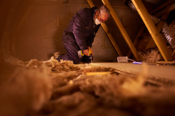 Eco-Friendly or Green Insulation Solutions in Sheboygan Falls, WI